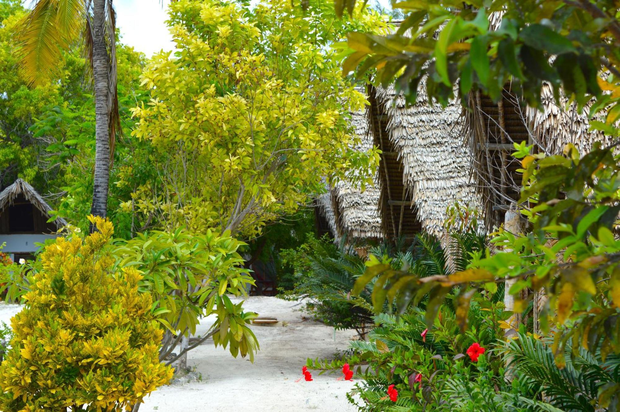 פאג'ה New Jambo Bungalows מראה חיצוני תמונה