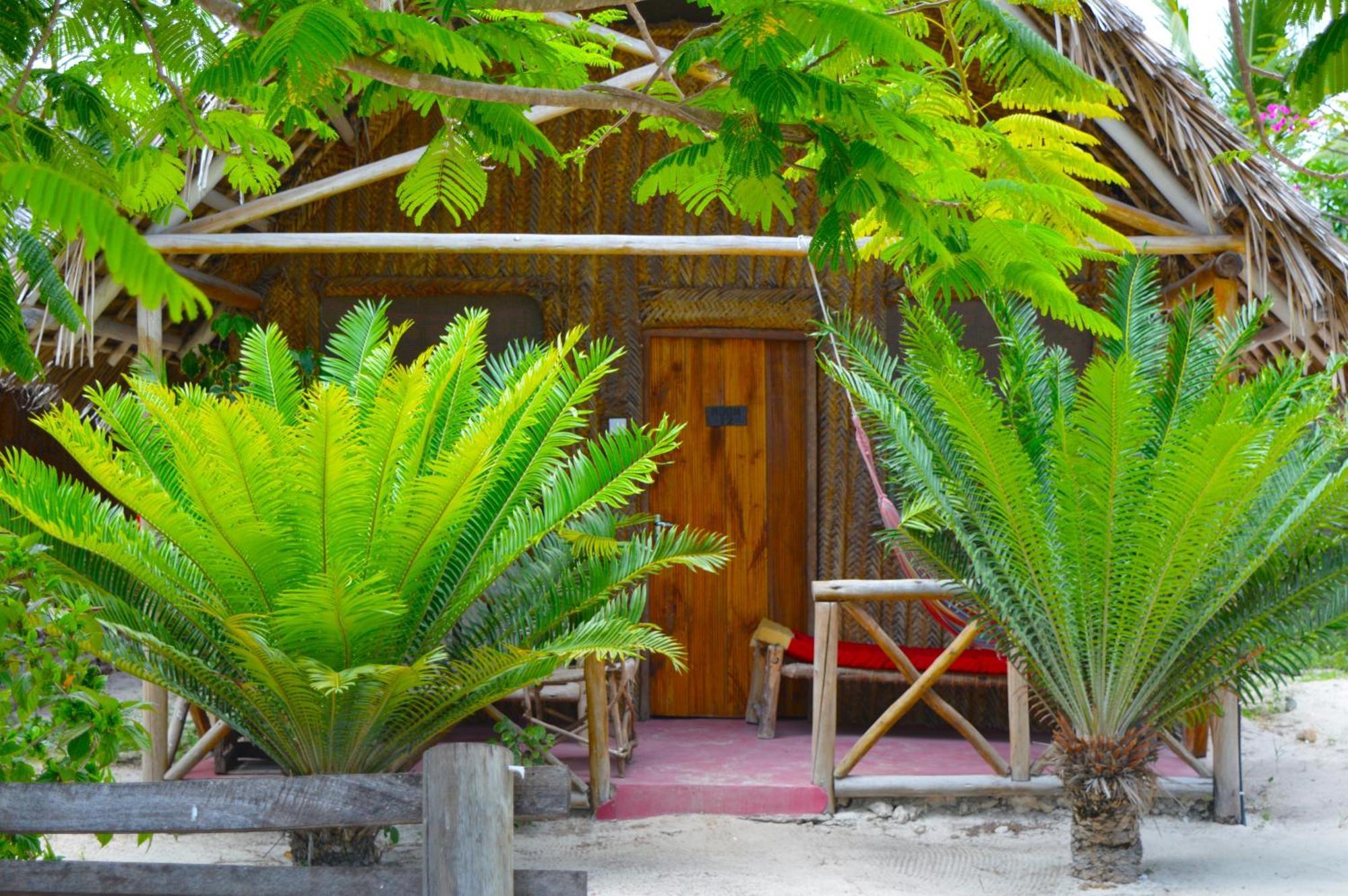 פאג'ה New Jambo Bungalows מראה חיצוני תמונה