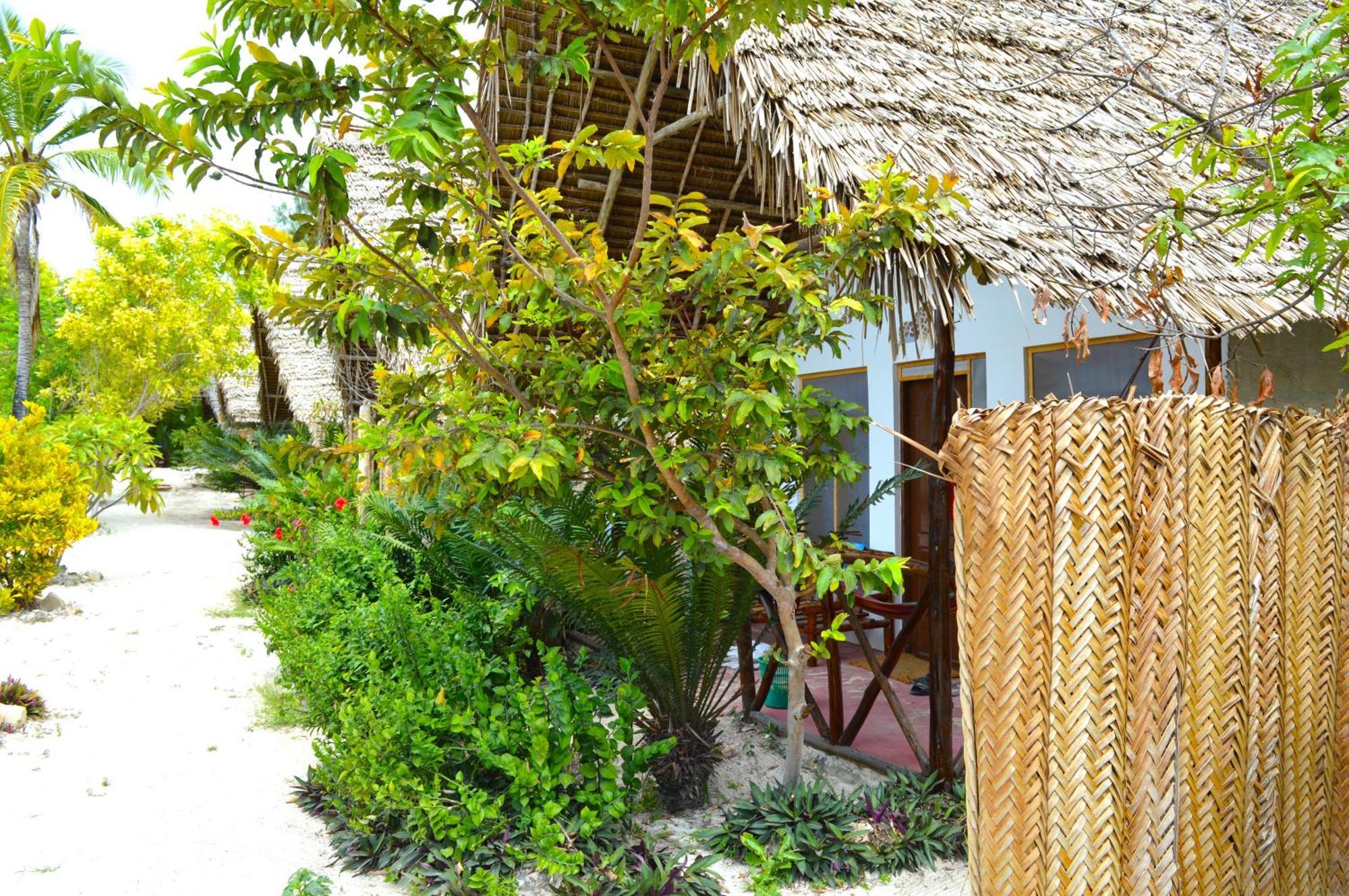 פאג'ה New Jambo Bungalows מראה חיצוני תמונה