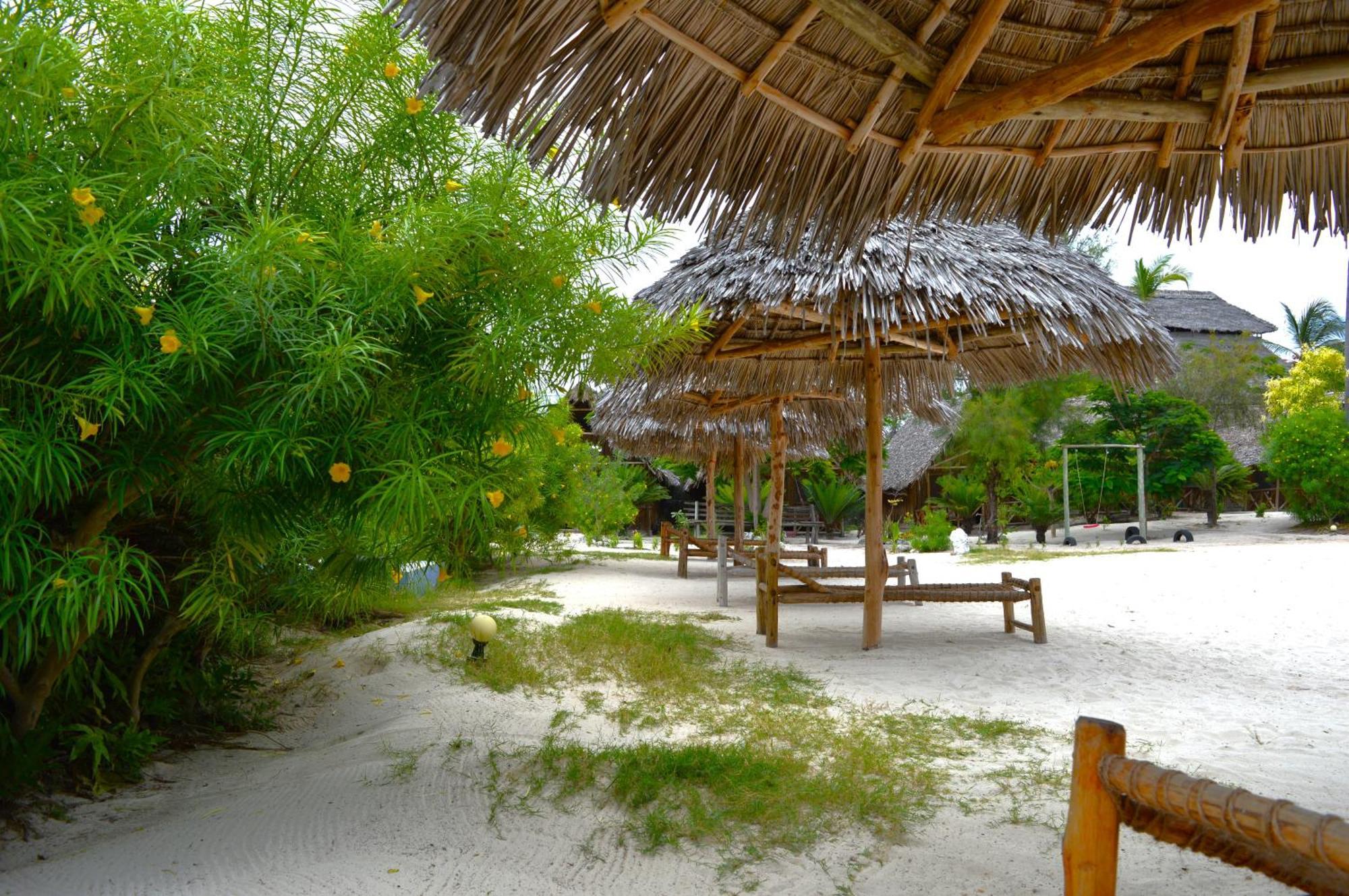 פאג'ה New Jambo Bungalows מראה חיצוני תמונה