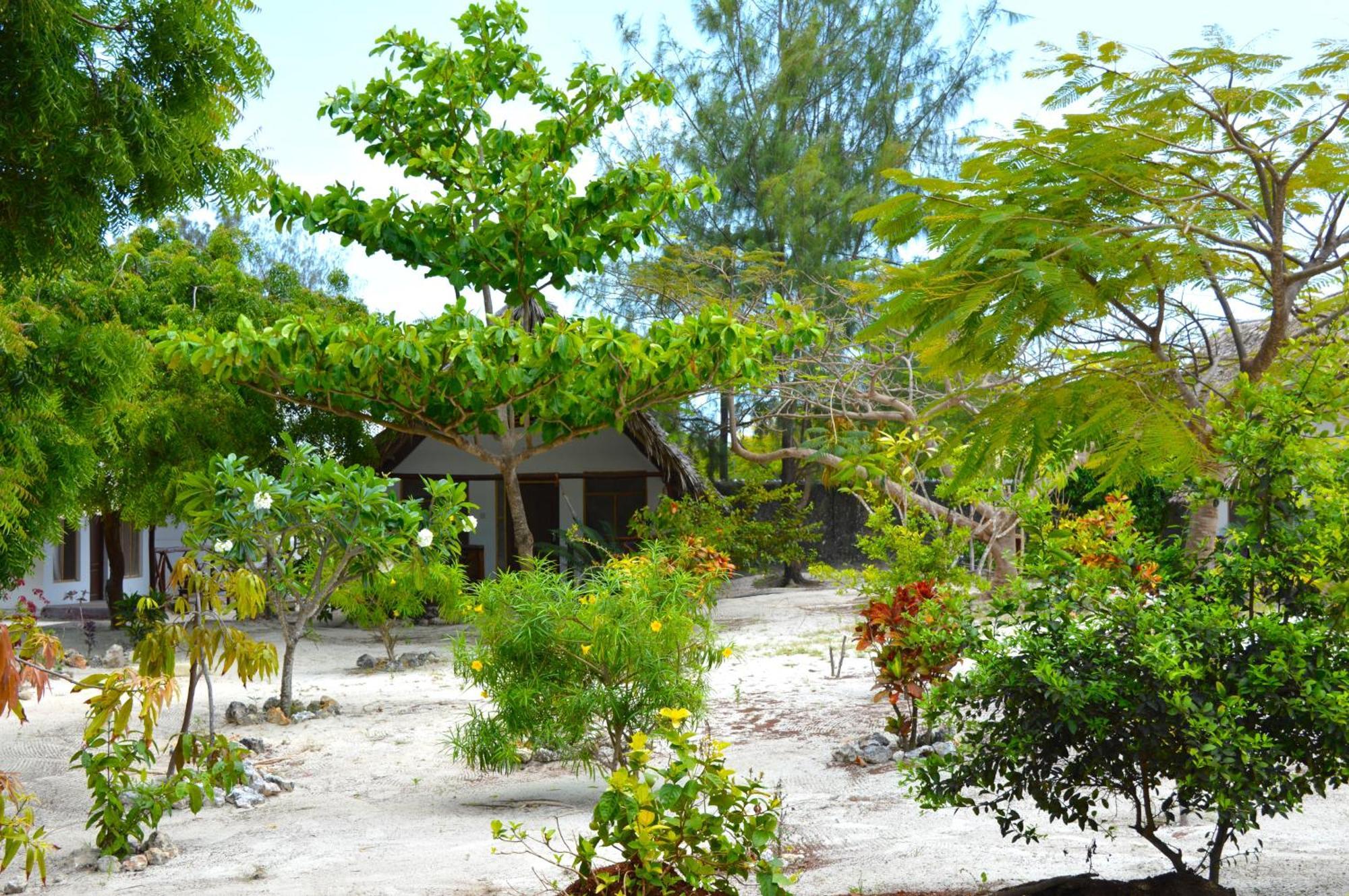 פאג'ה New Jambo Bungalows מראה חיצוני תמונה