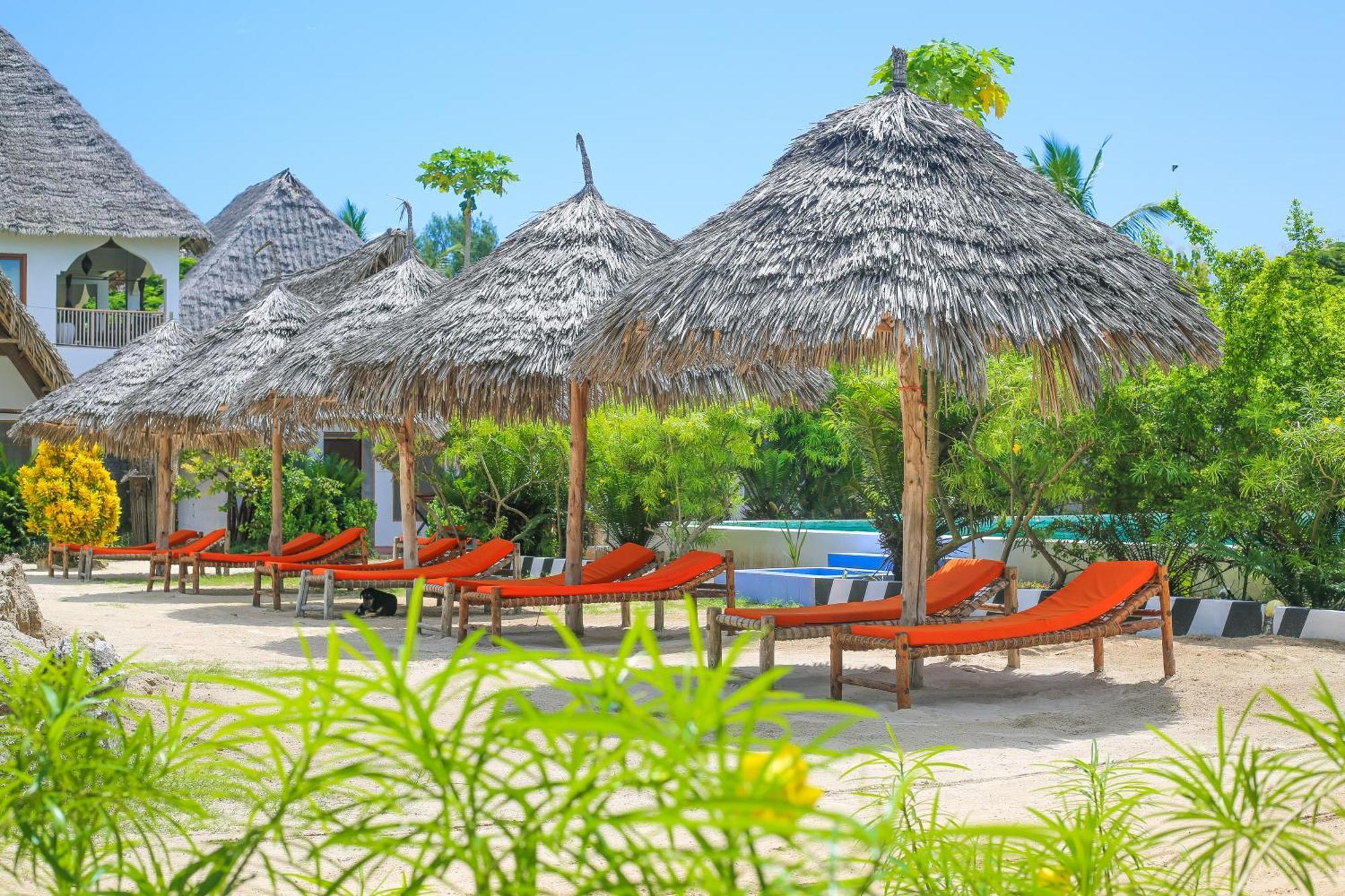 פאג'ה New Jambo Bungalows מראה חיצוני תמונה